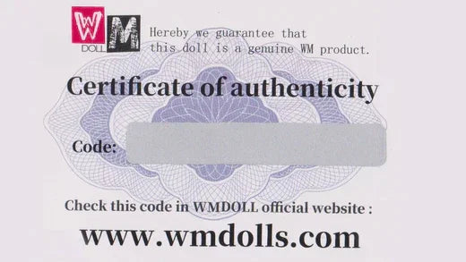WM Doll - Sistema para detectar códigos falsificados