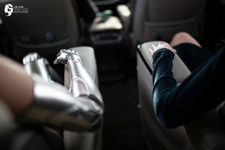 Gynoid Doll 172 cm Silicone - Li Hui | Sex Dolls SG